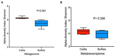 Comparative analysis of rumen metagenome, metatranscriptome, fermentation and methane yield in cattle and buffaloes fed on the same diet